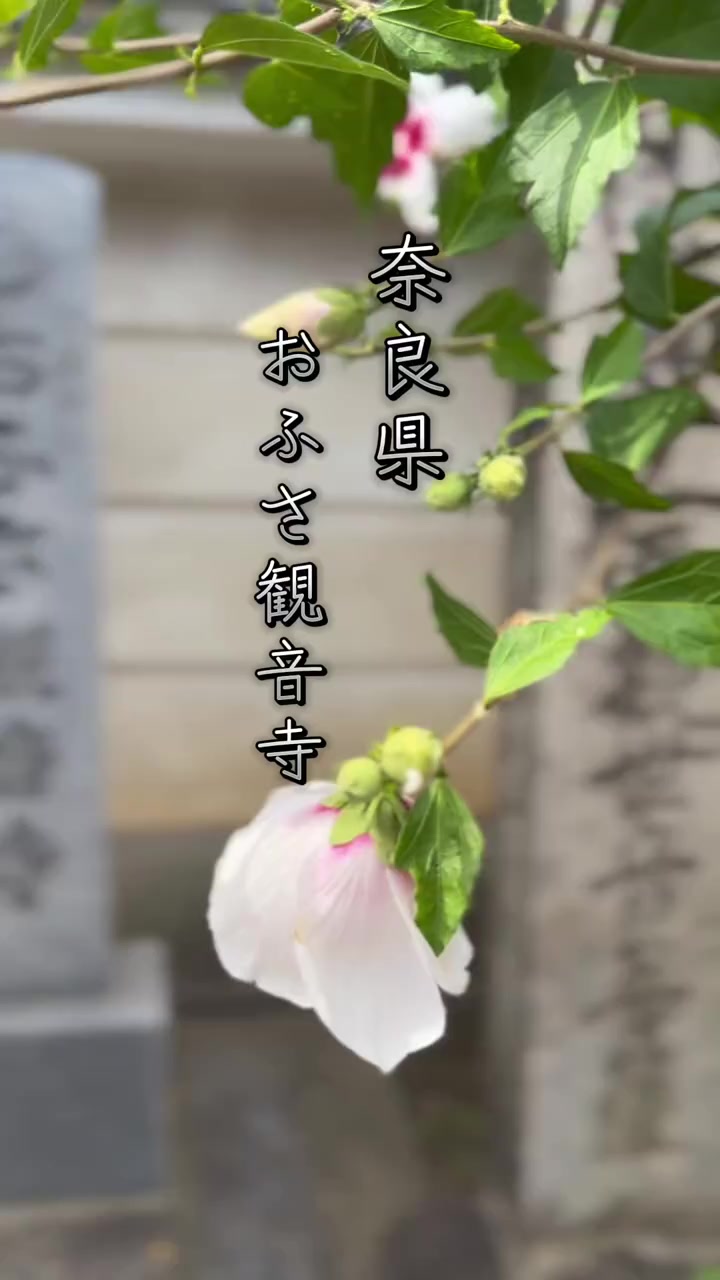 @はれのちくもり