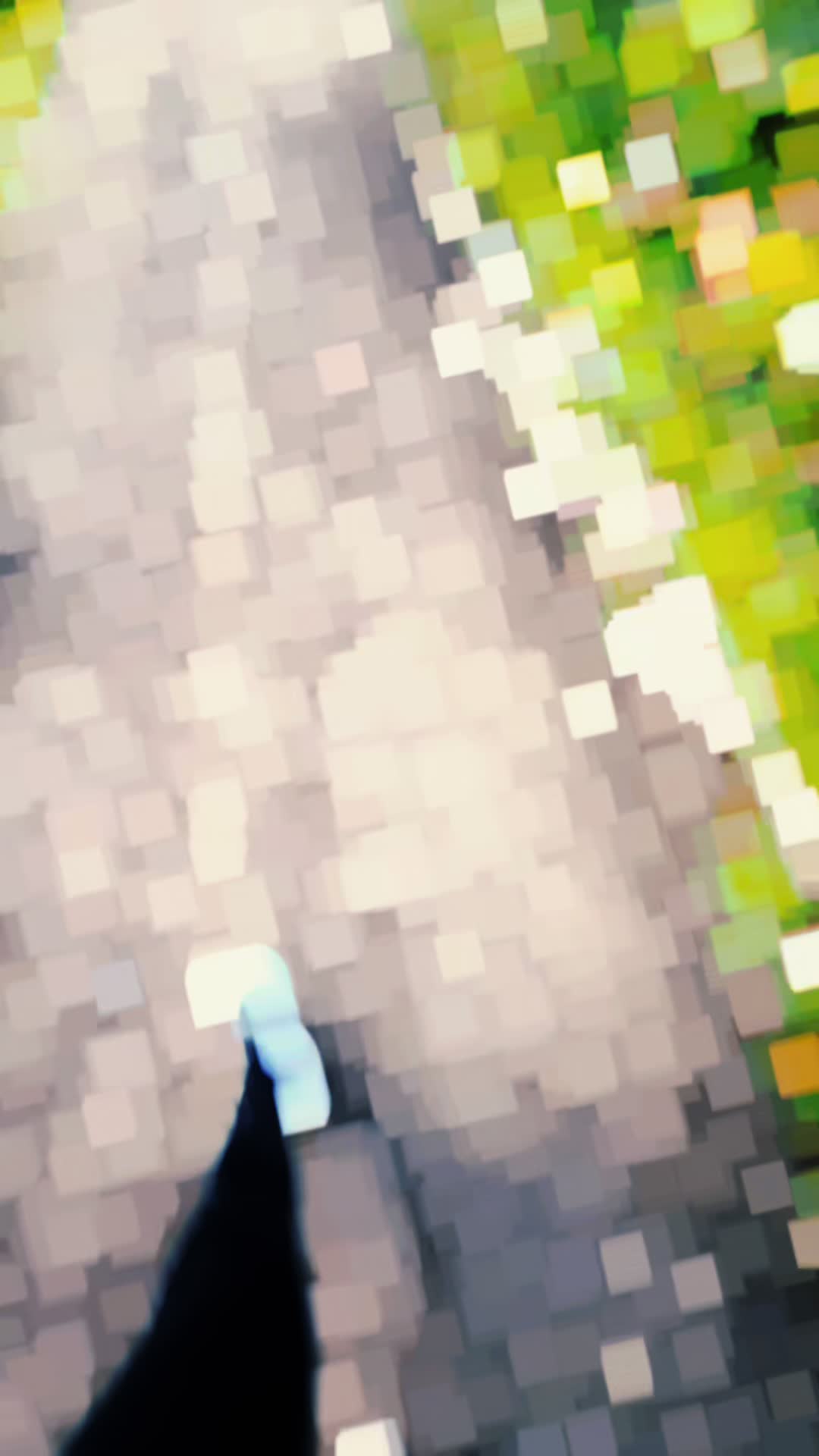 @shaaaanikaa ⁷
