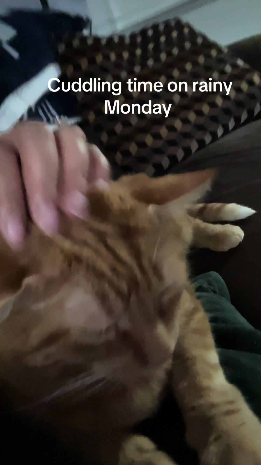 @Oneofthosedays