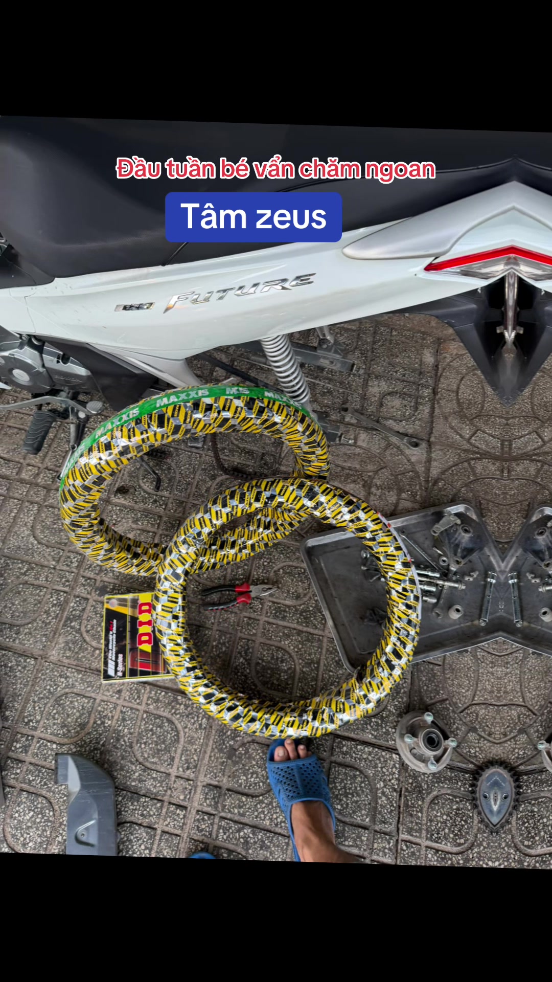 @T&acirc;m Zeus