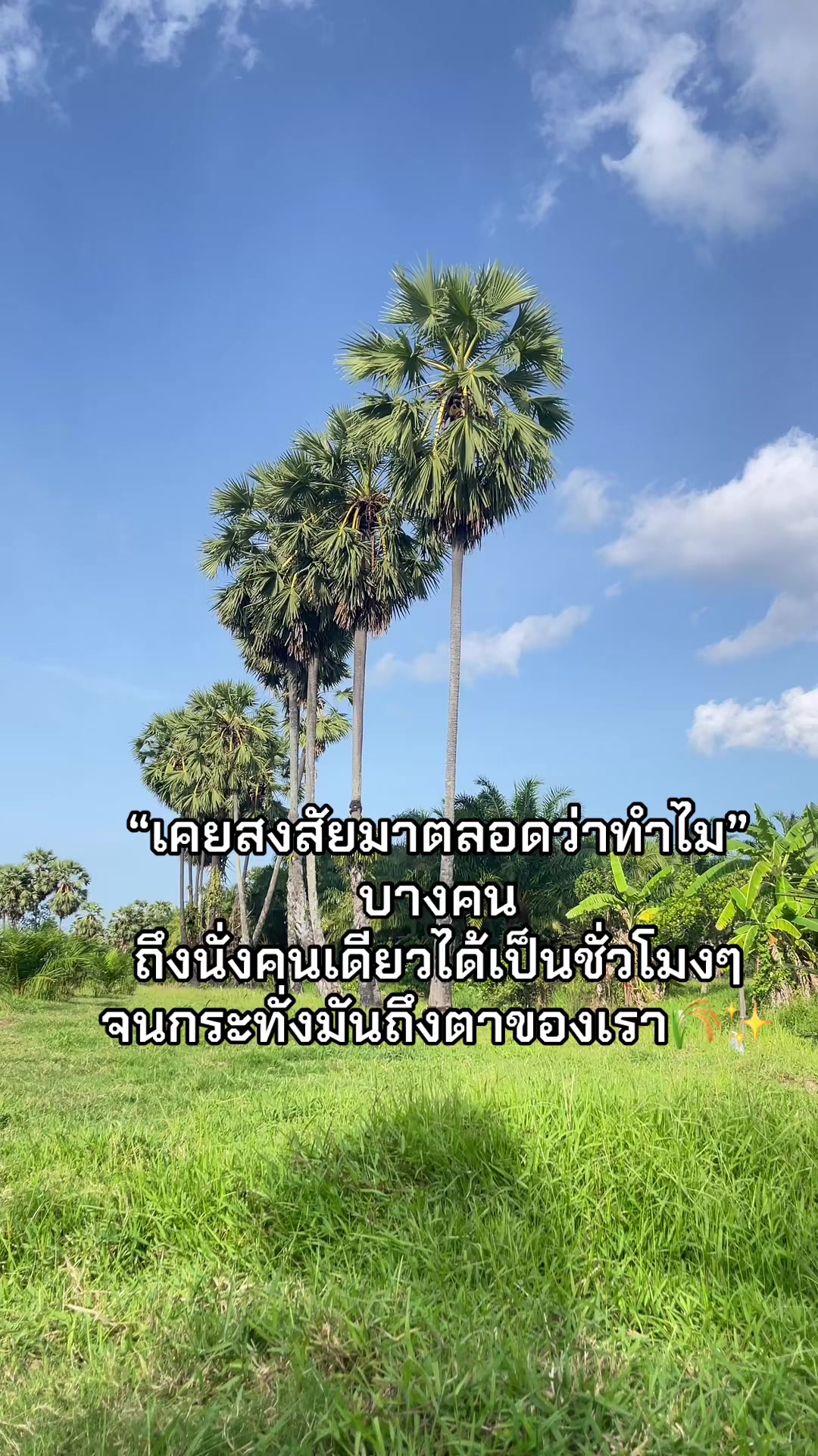 @มี๊แนน🫧