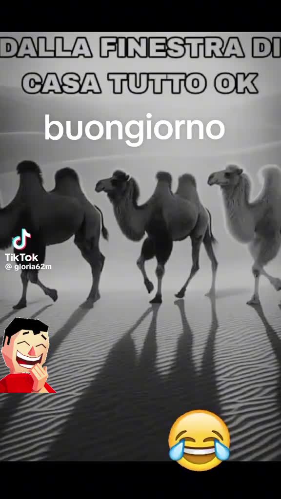 @universale