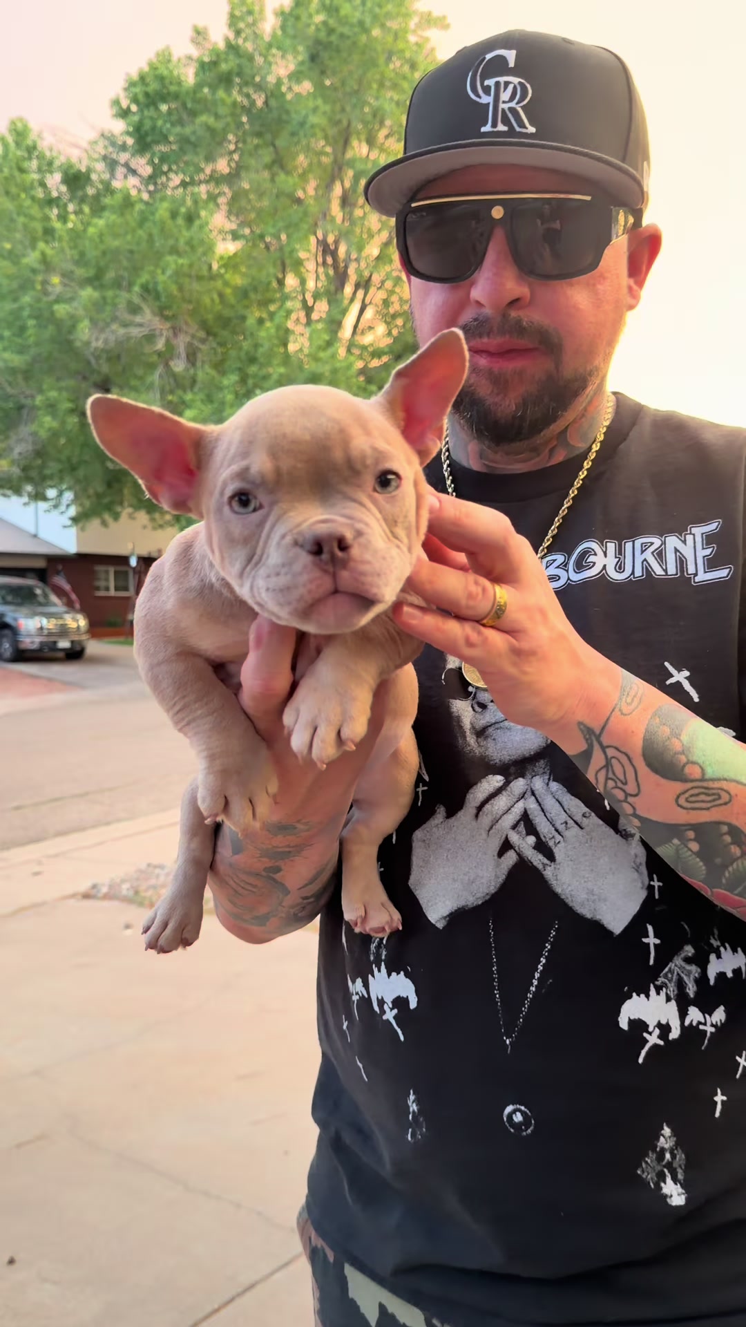 @steelforgedbullies