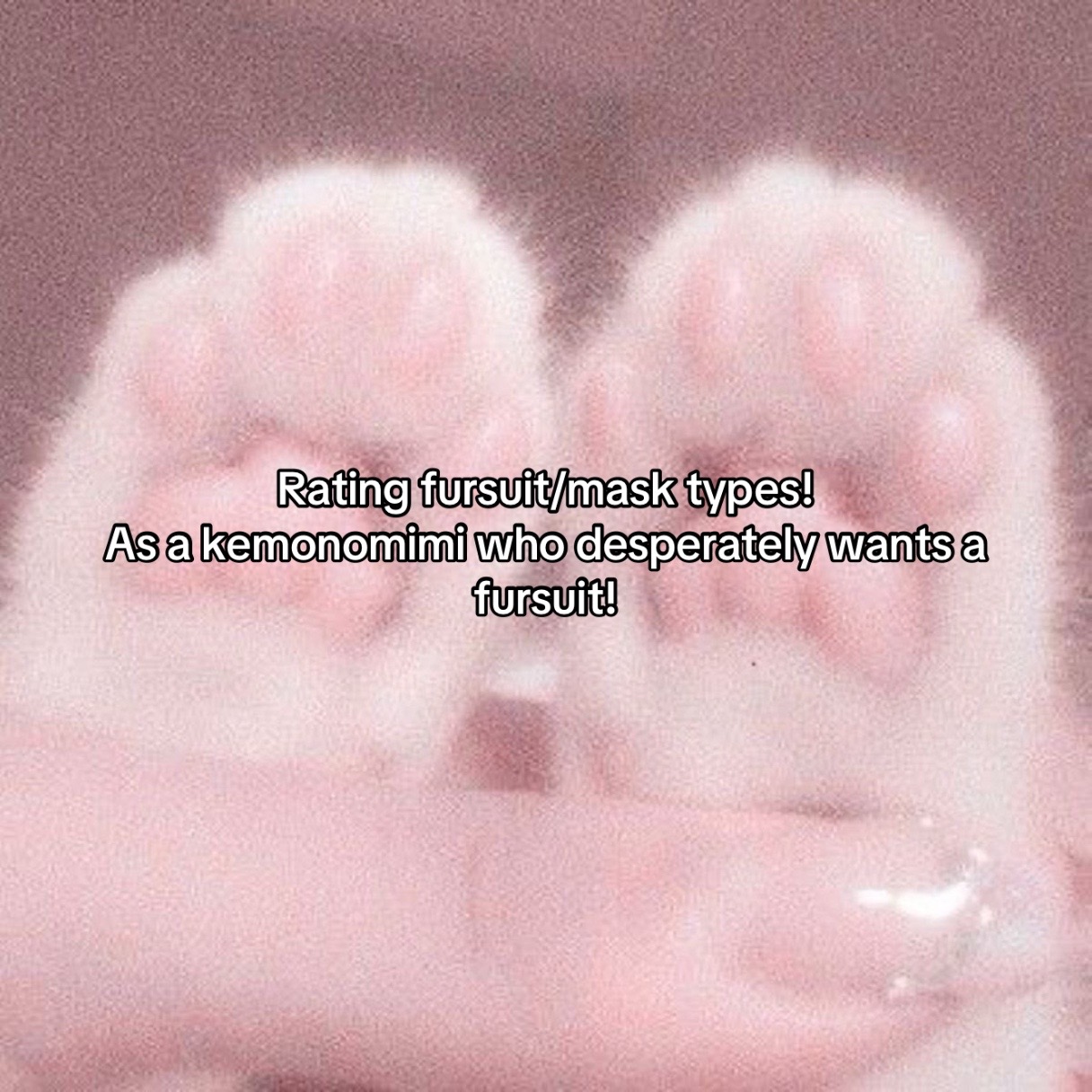 @🕊️⚰️ Fraya (✿╹◡╹)