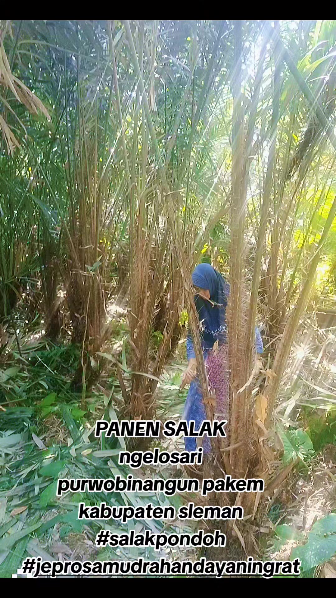 @JEPRO SAMUDRA