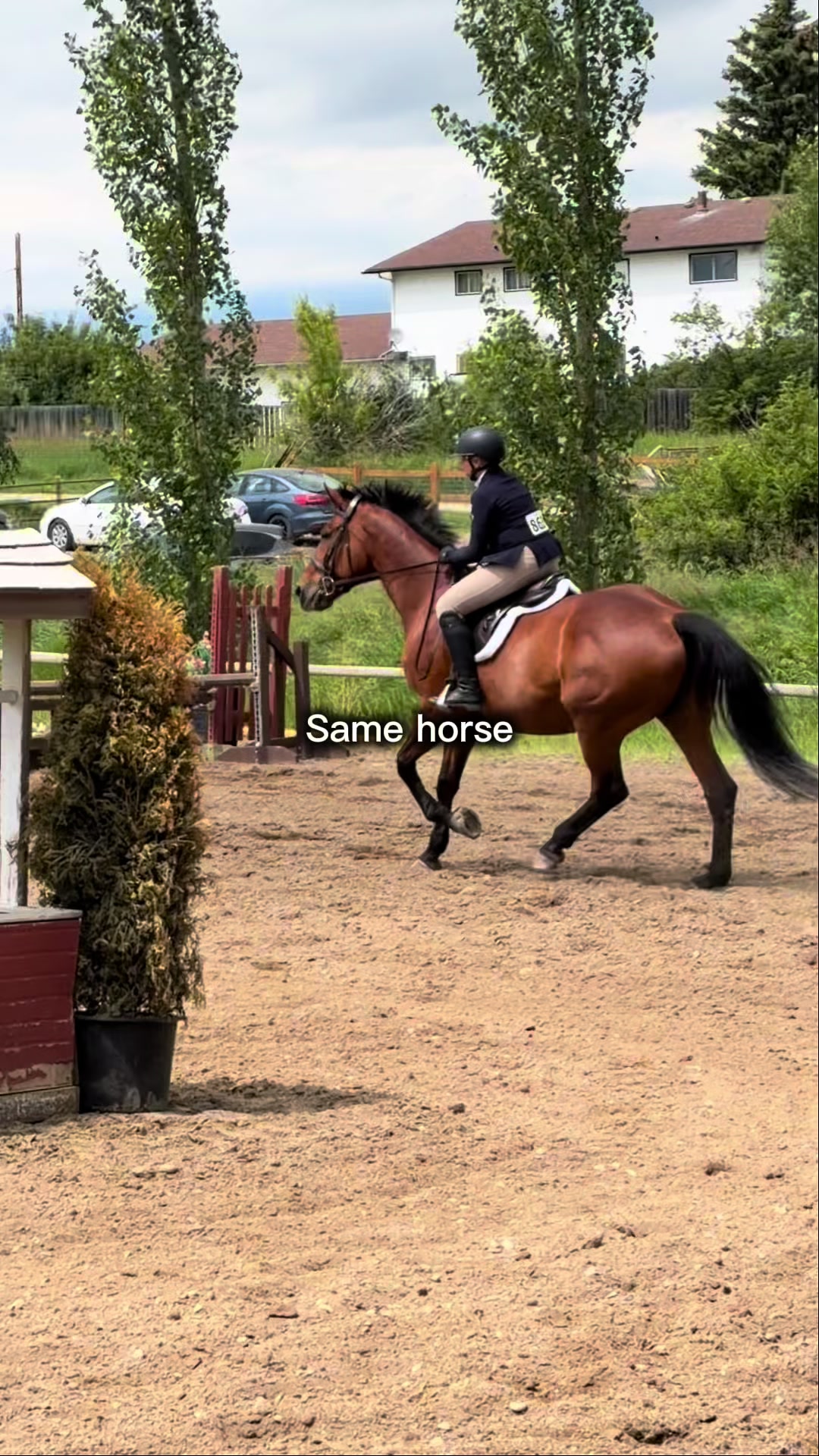 @Kaya_Equine _Molly