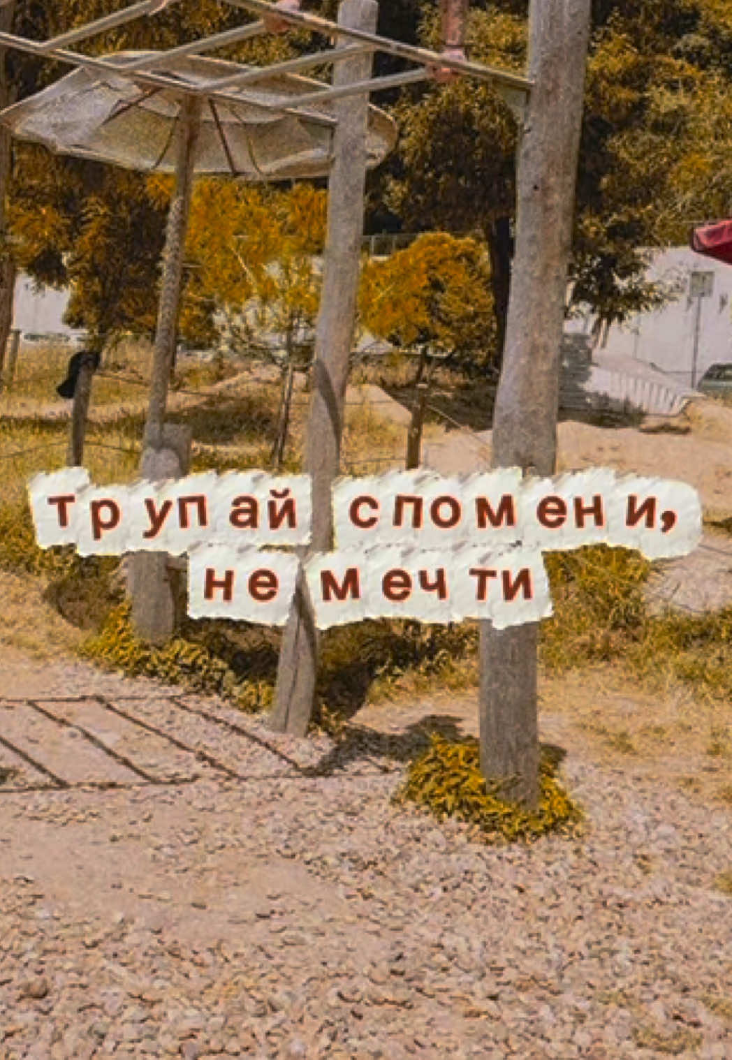 @tushevonthebars