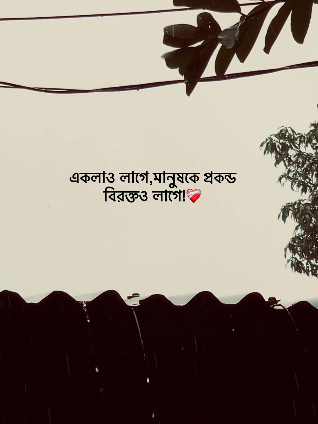 @Jit Baiddya🧃