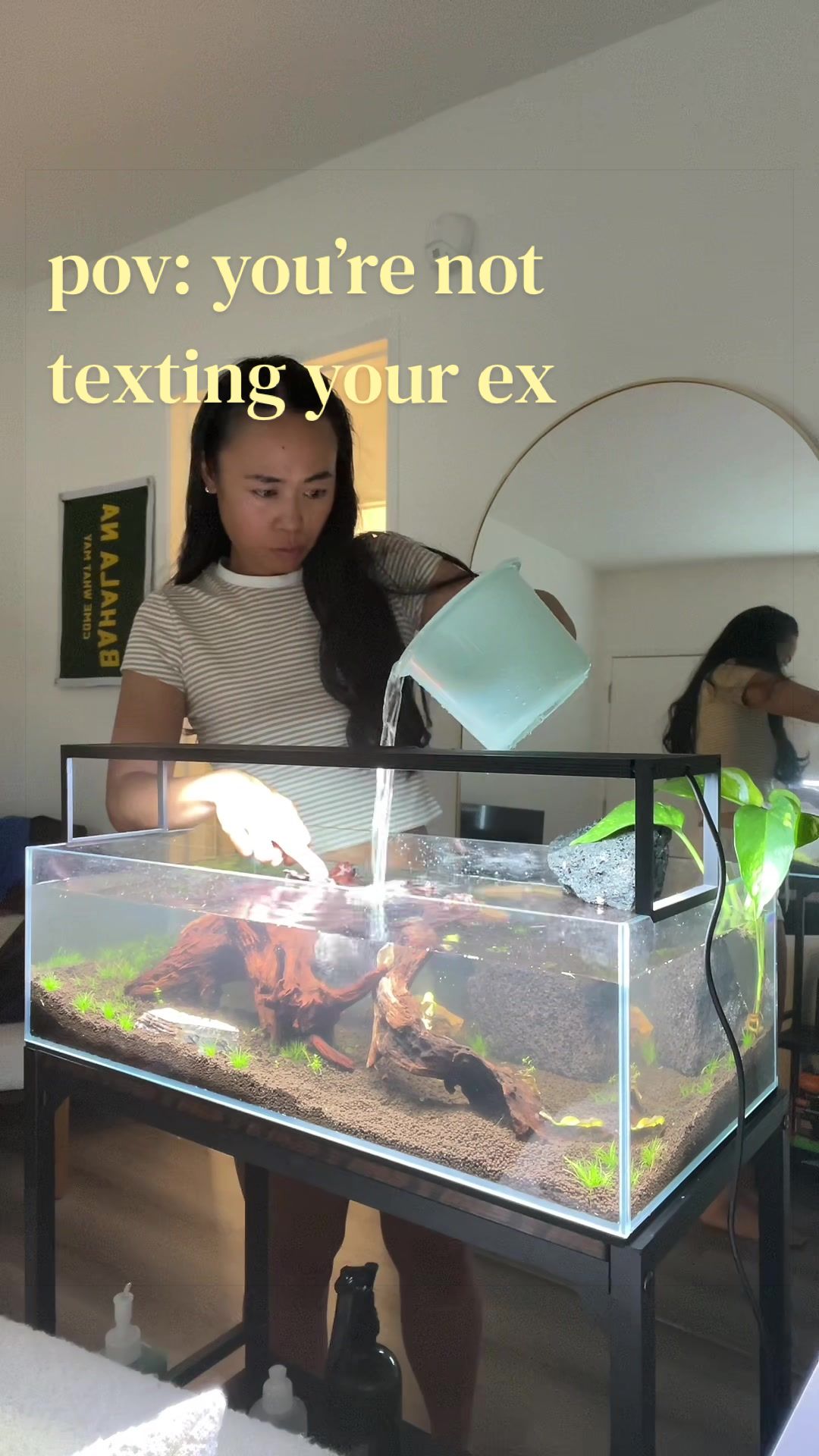@chooks