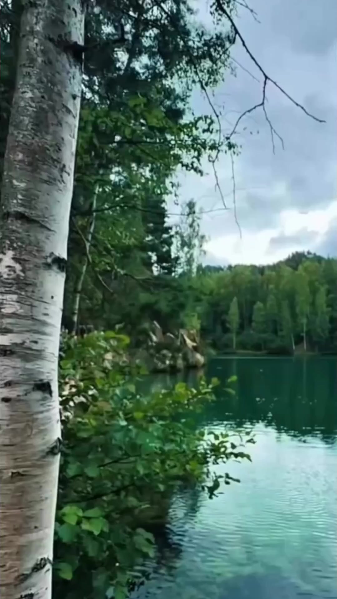 @Валентина Гусева