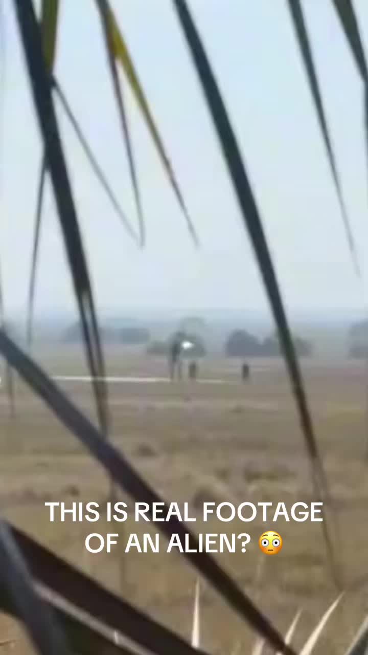 @alienimpact