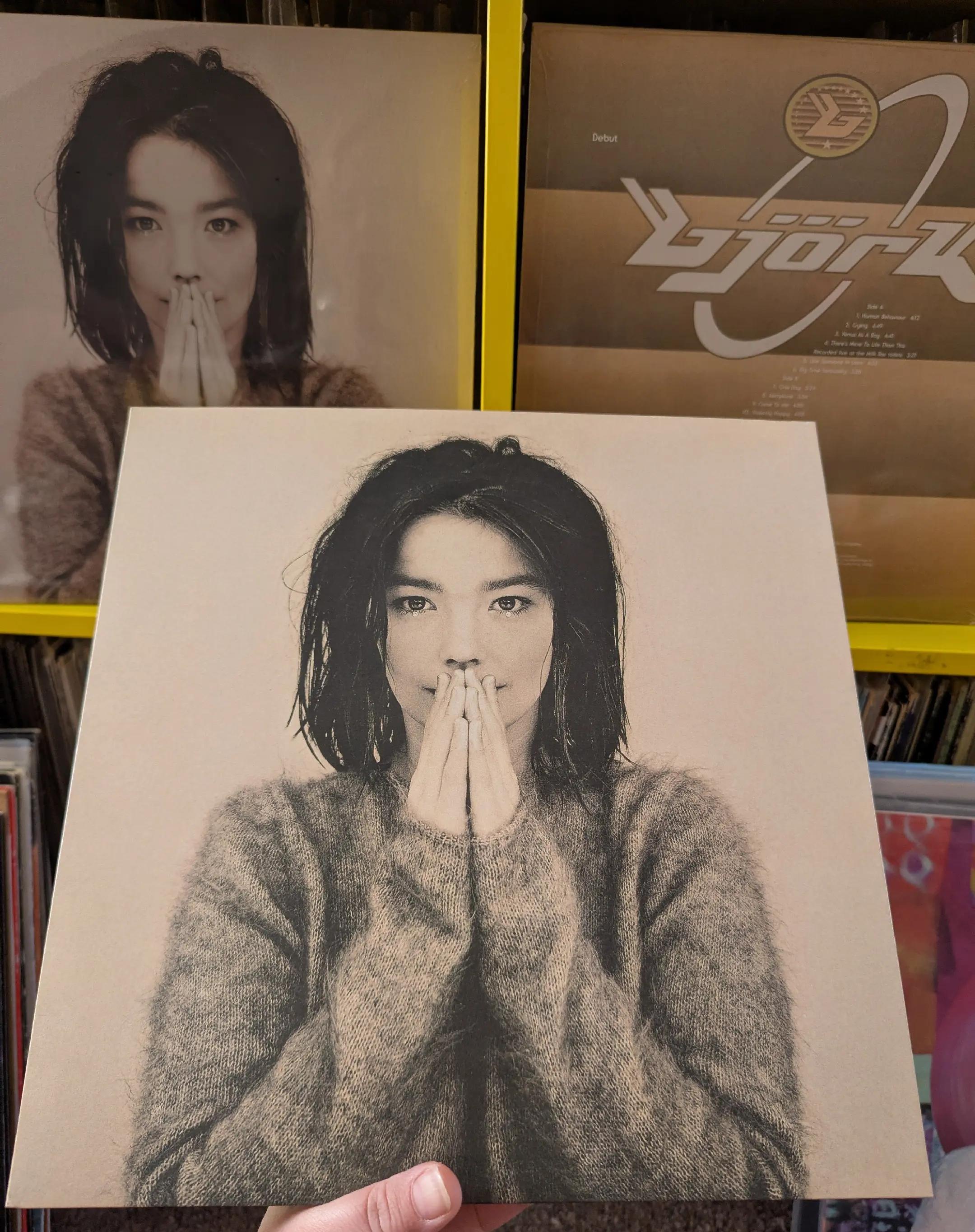 @(Lisa)The Virtual Vinyl Store