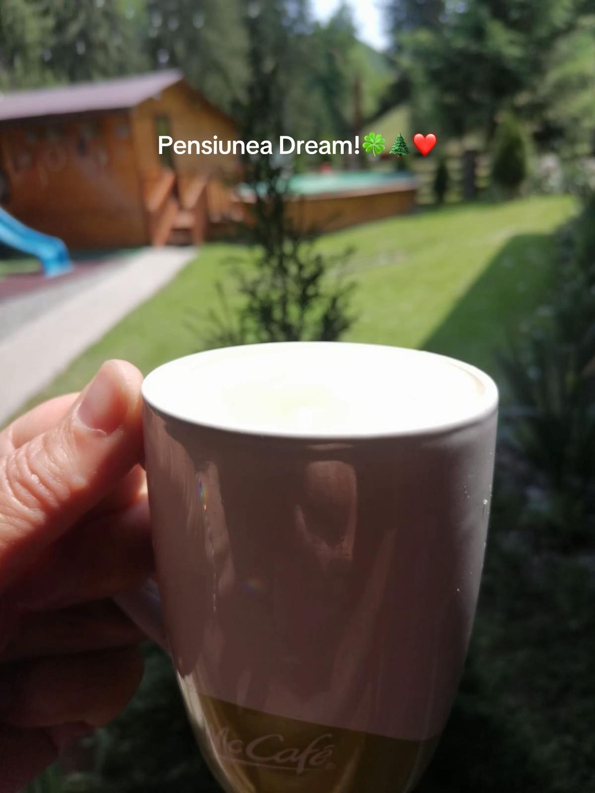 @Pensiunea Dream