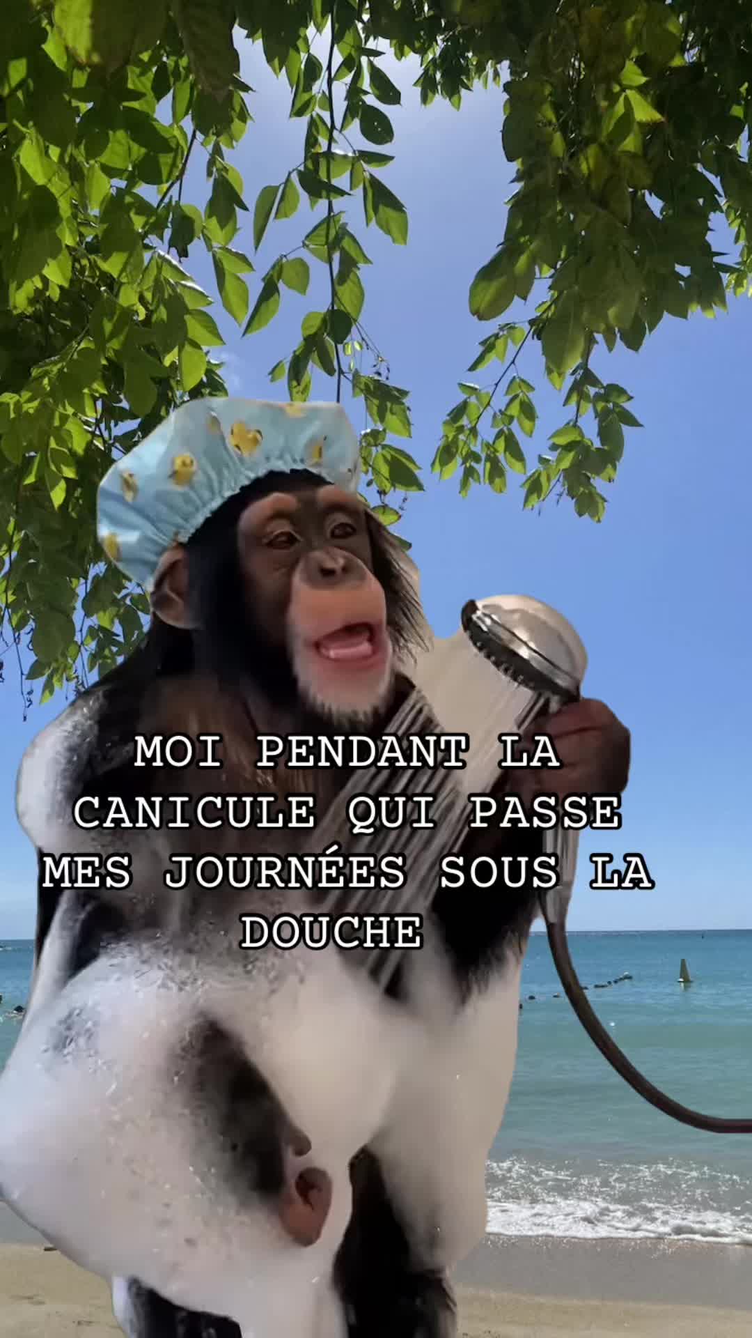 @nathalie..maurice