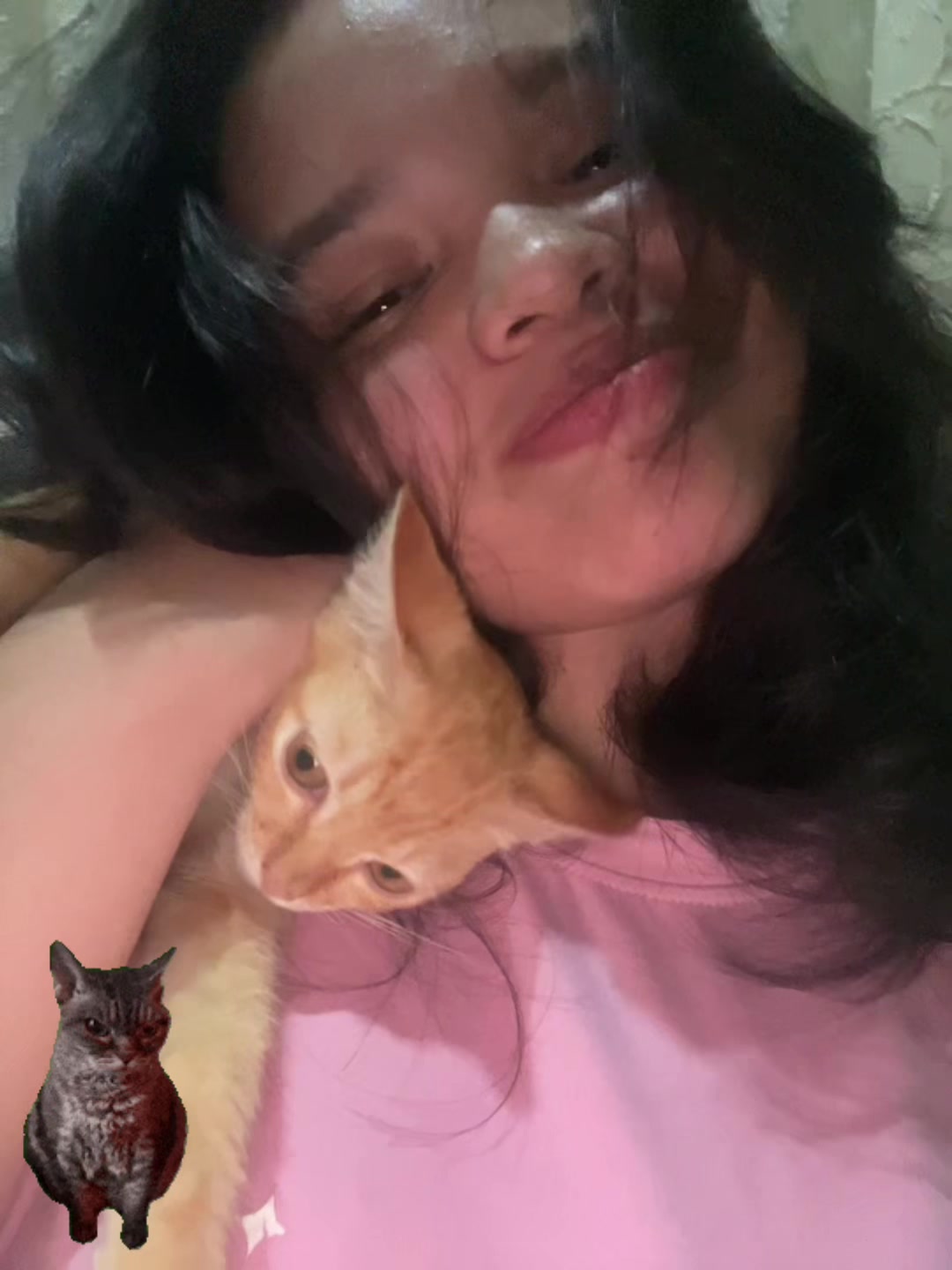 @Spynxcat