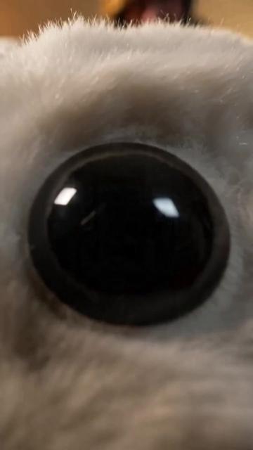 @卩卂尺卂ᗪㄖ乂_ᘜㄒ卄