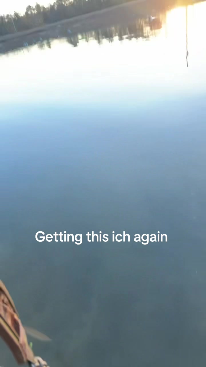 @Andrew🦆