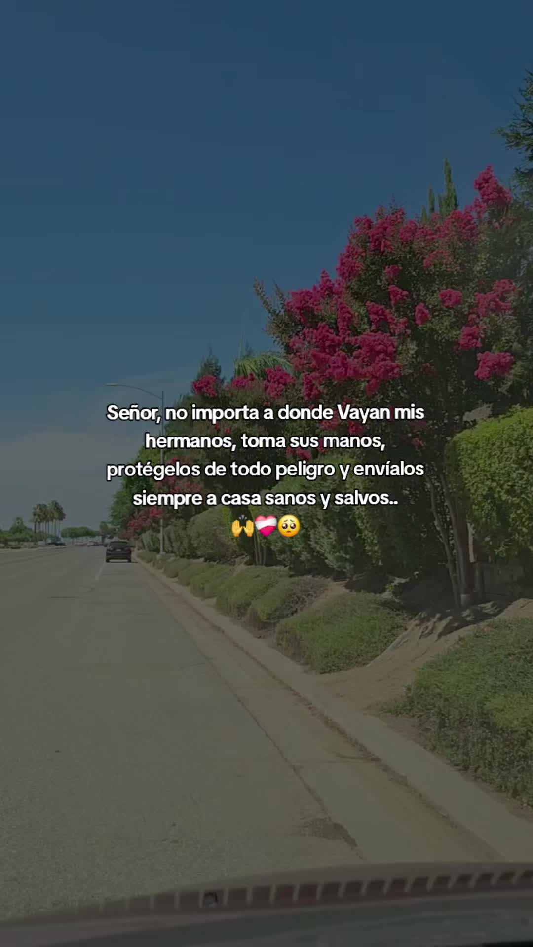 @🖤🦋FER_BRIZZO🥀☀︎︎☽︎