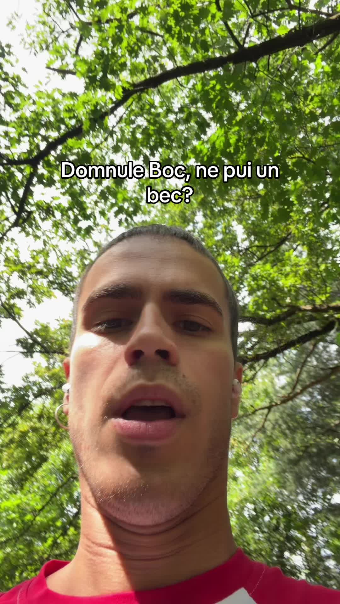 @Avram Grigore