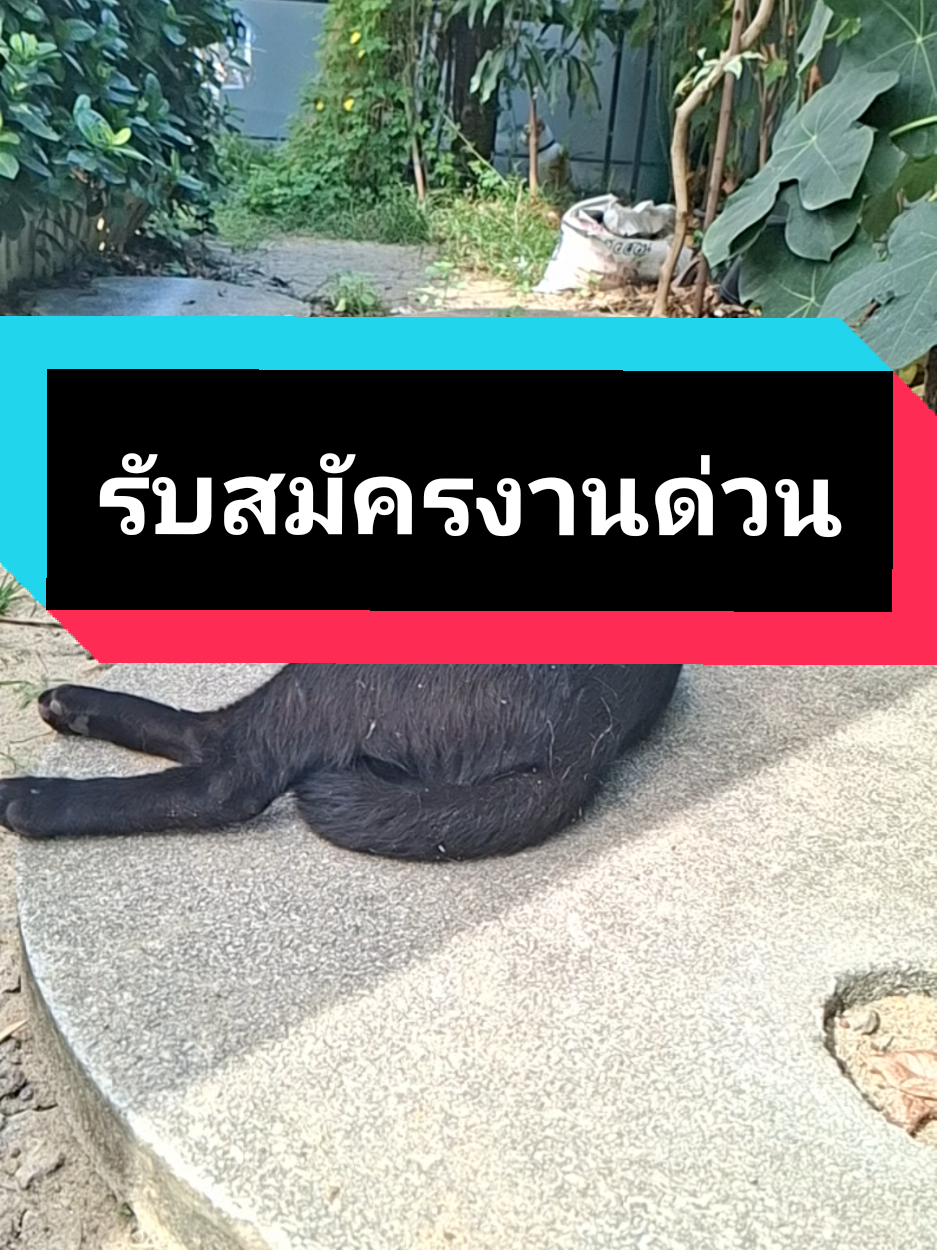 @ฮโหล....สมอง