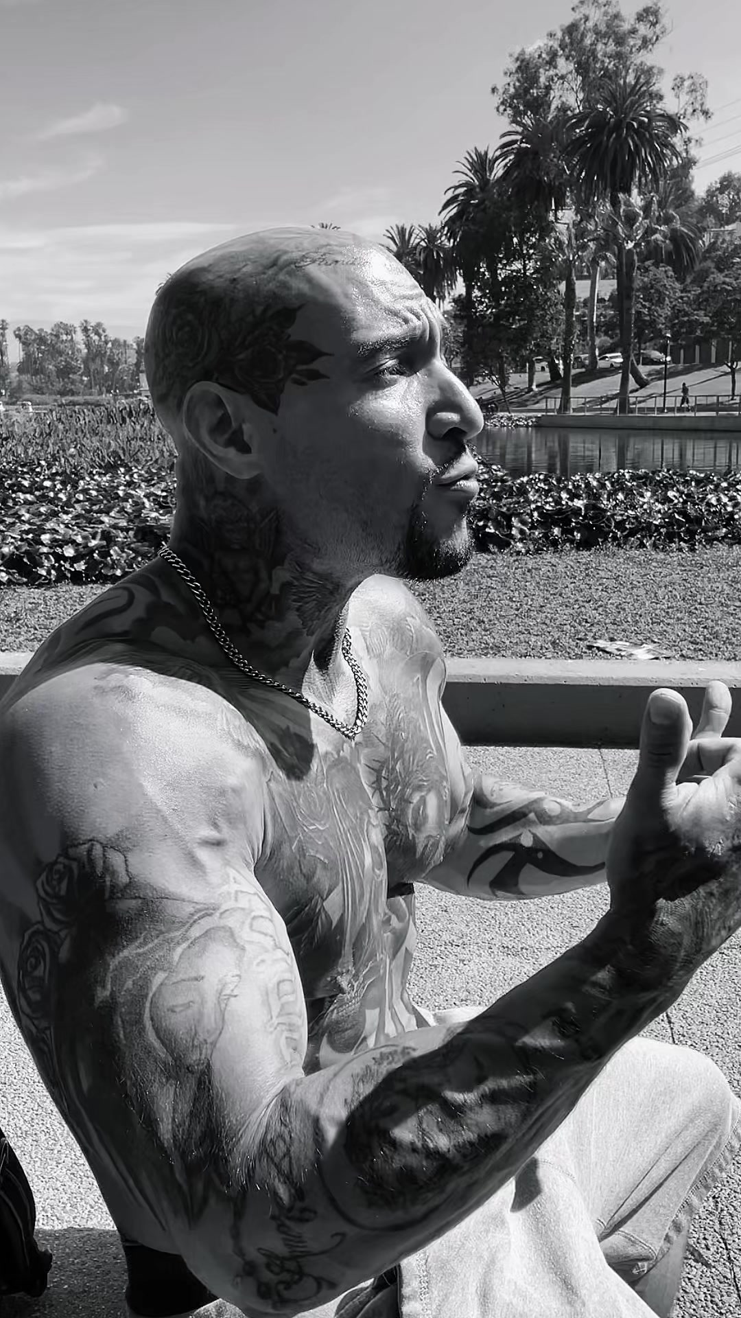 @elpelon_tatuado