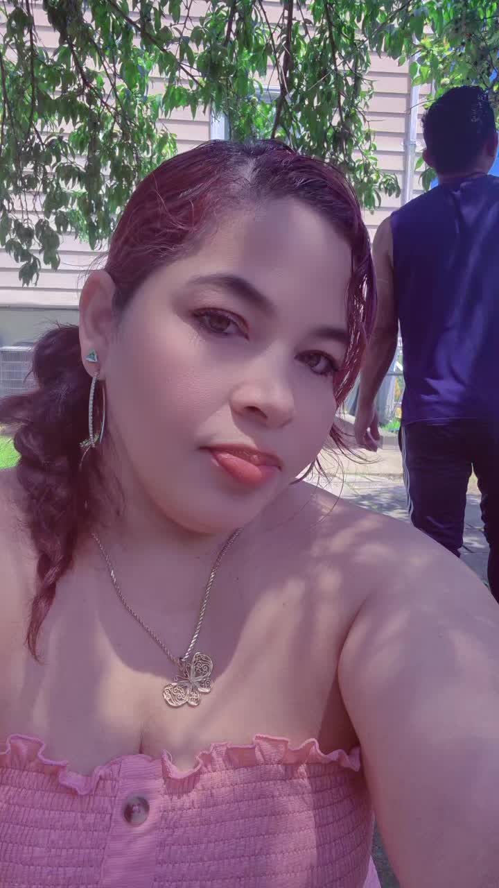 @el ave f&eacute;nix