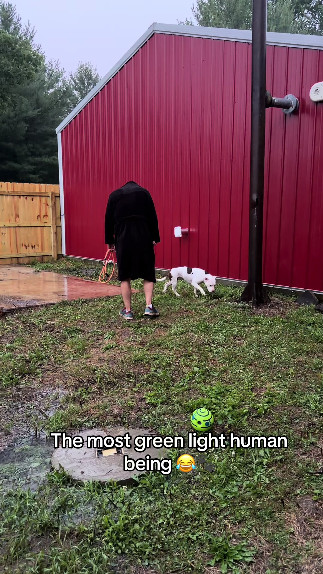 @Happy Tails Animal Rescue