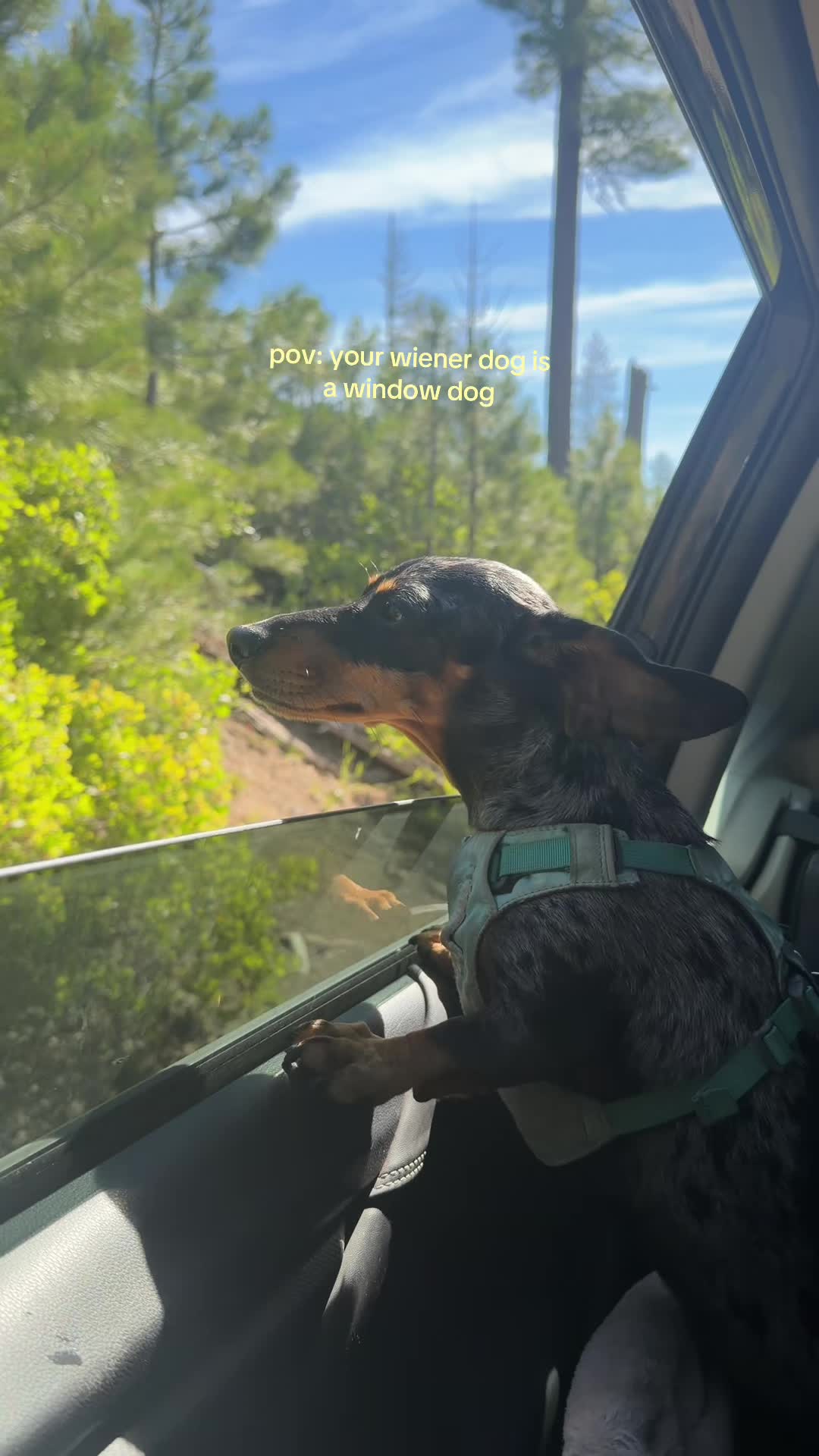 @Jade | Travel & Wellness