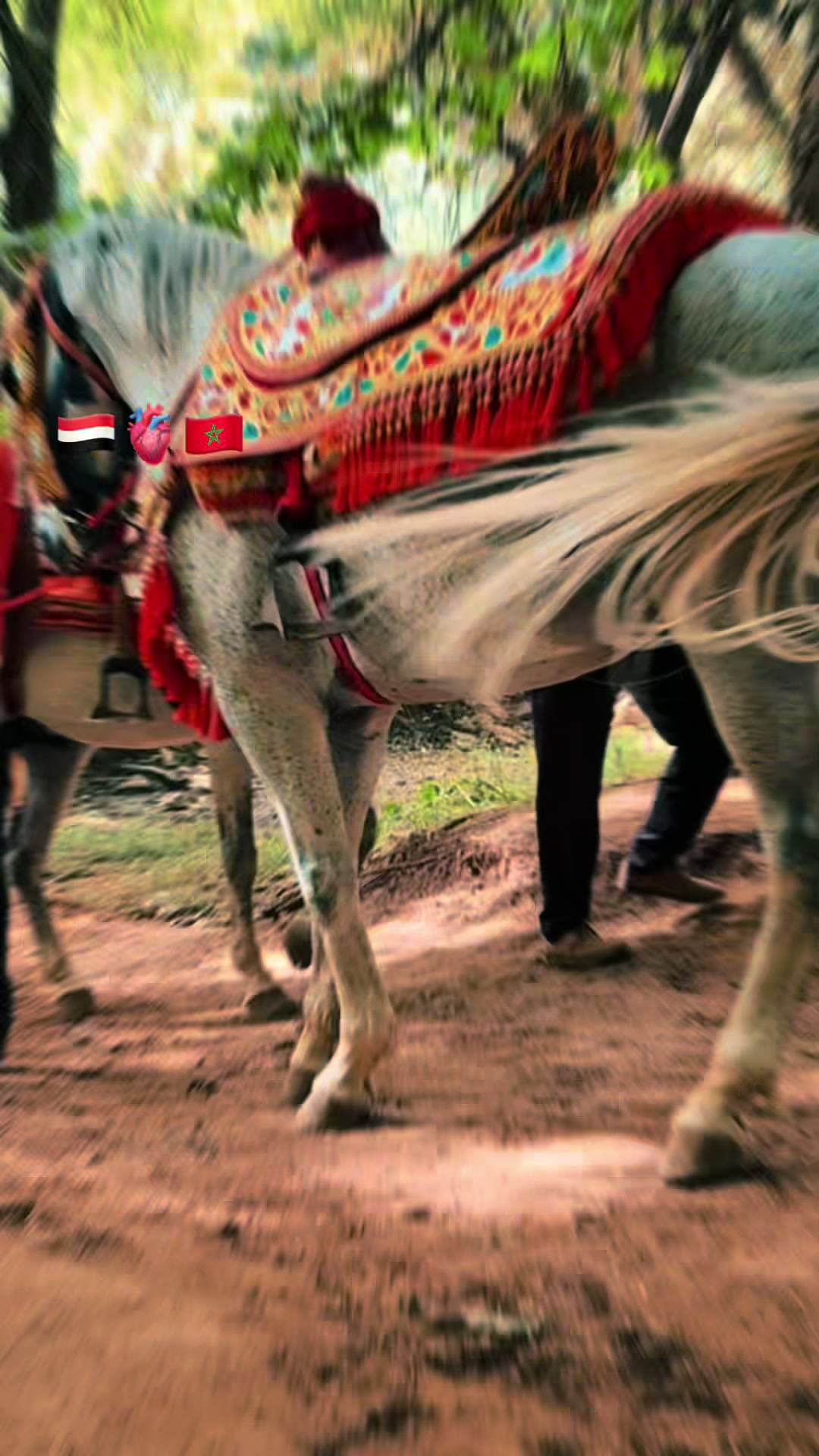 @المغربية🇲🇦 واليمني 🇾🇪
