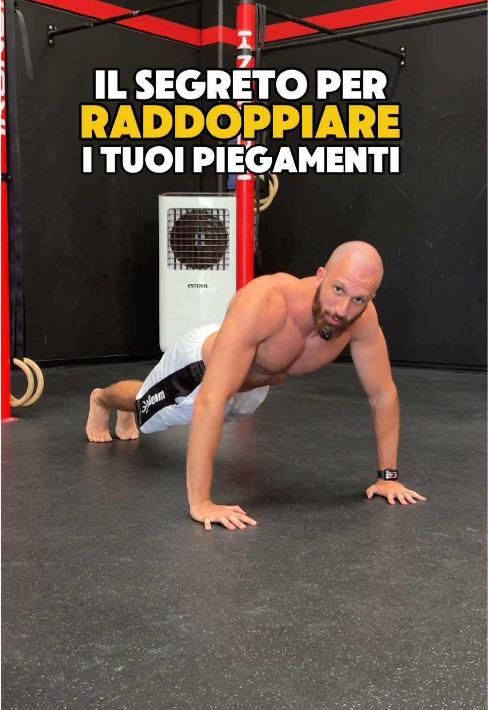 @Chef Sergio