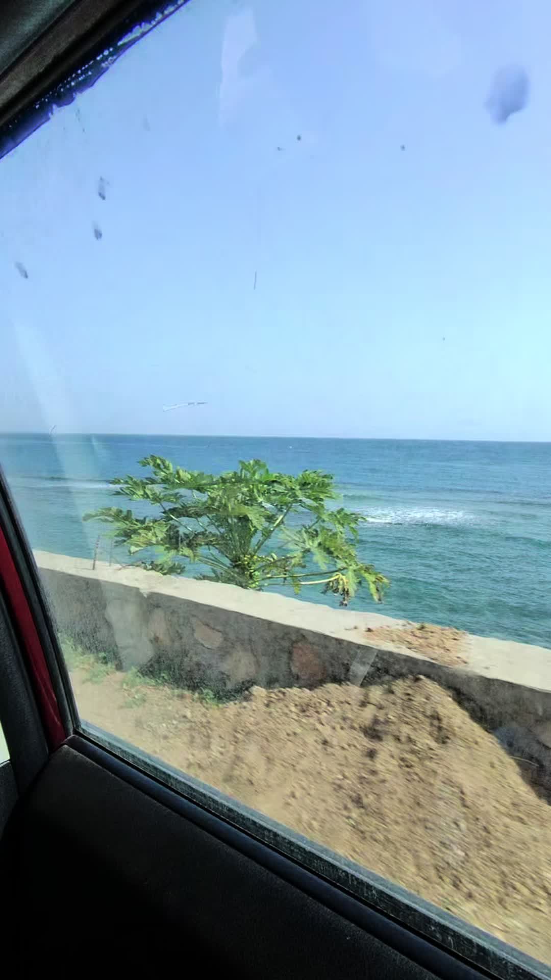@Raz 🇭🇹