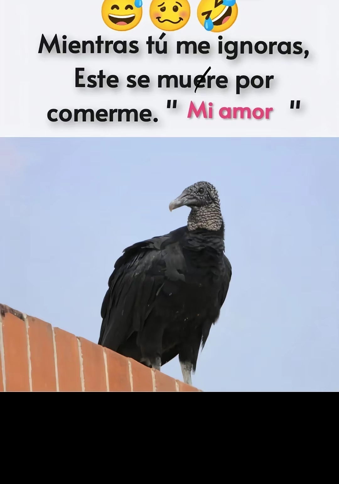 @Karlyta de Gonsalez