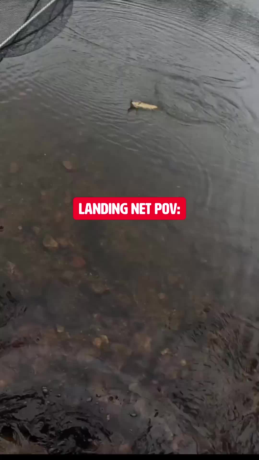 @fishingshaun