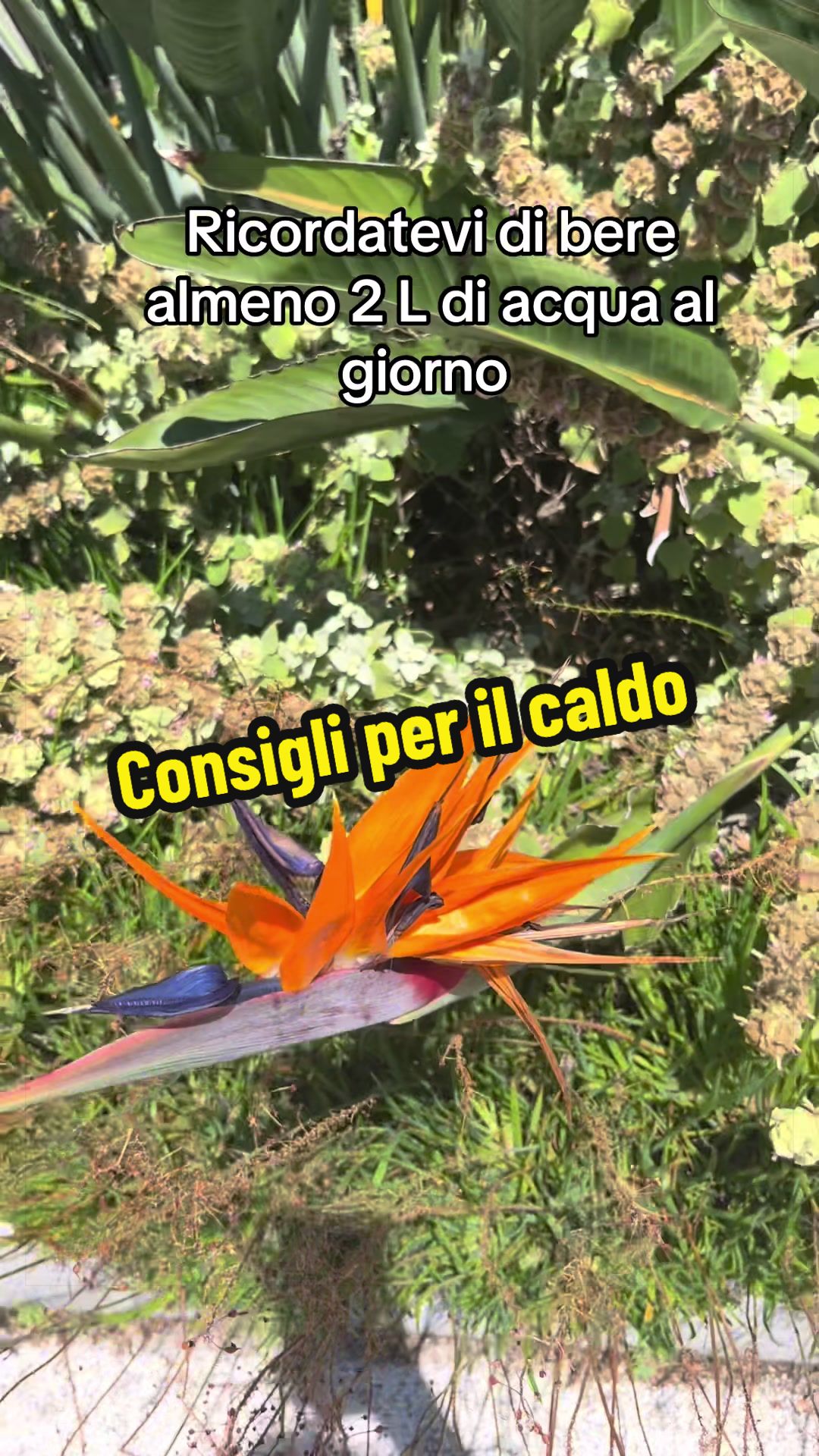 @Natali