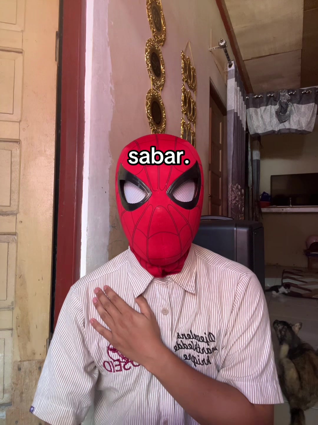 @kamil