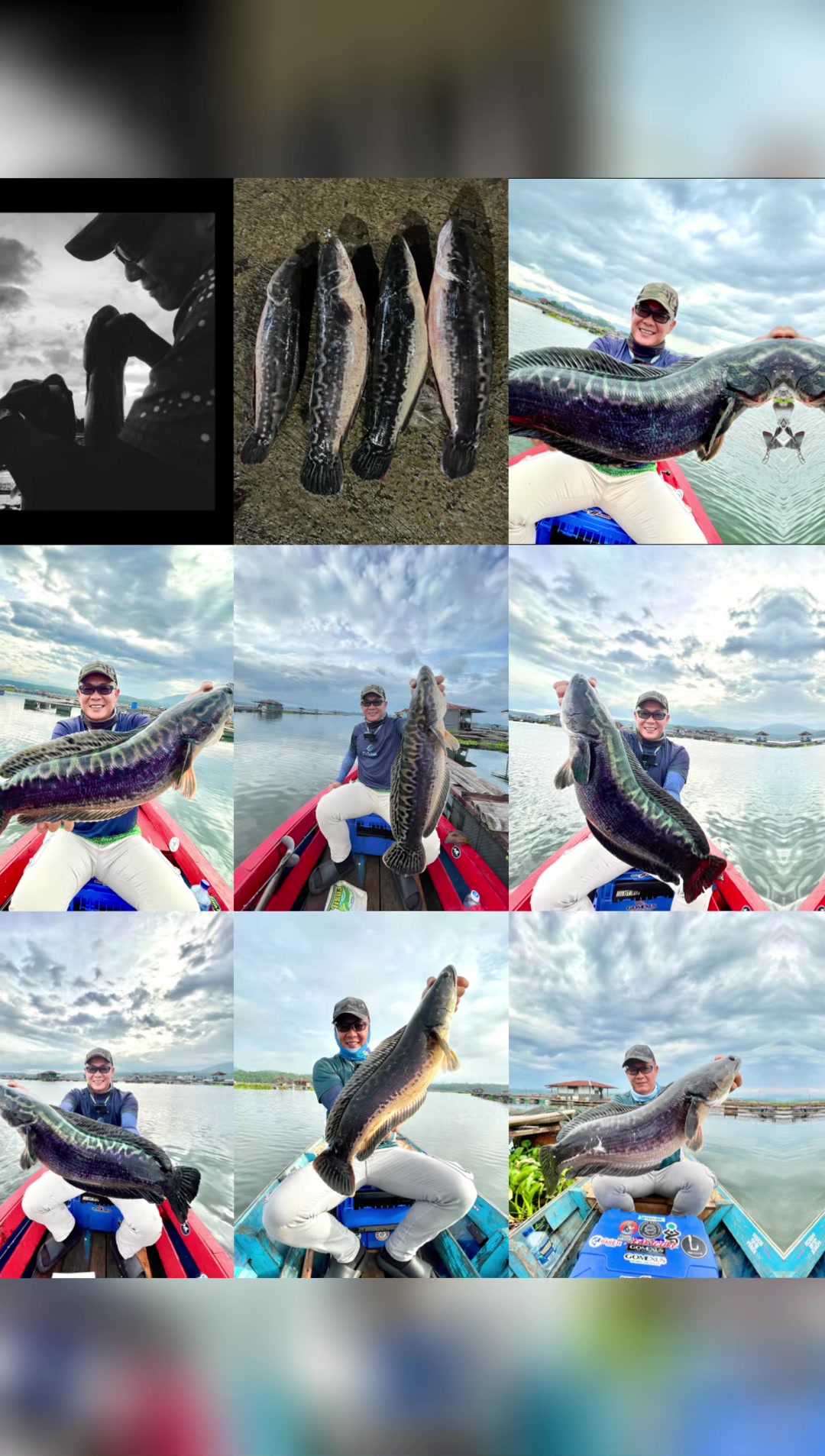 @PREDATORY ANGLER