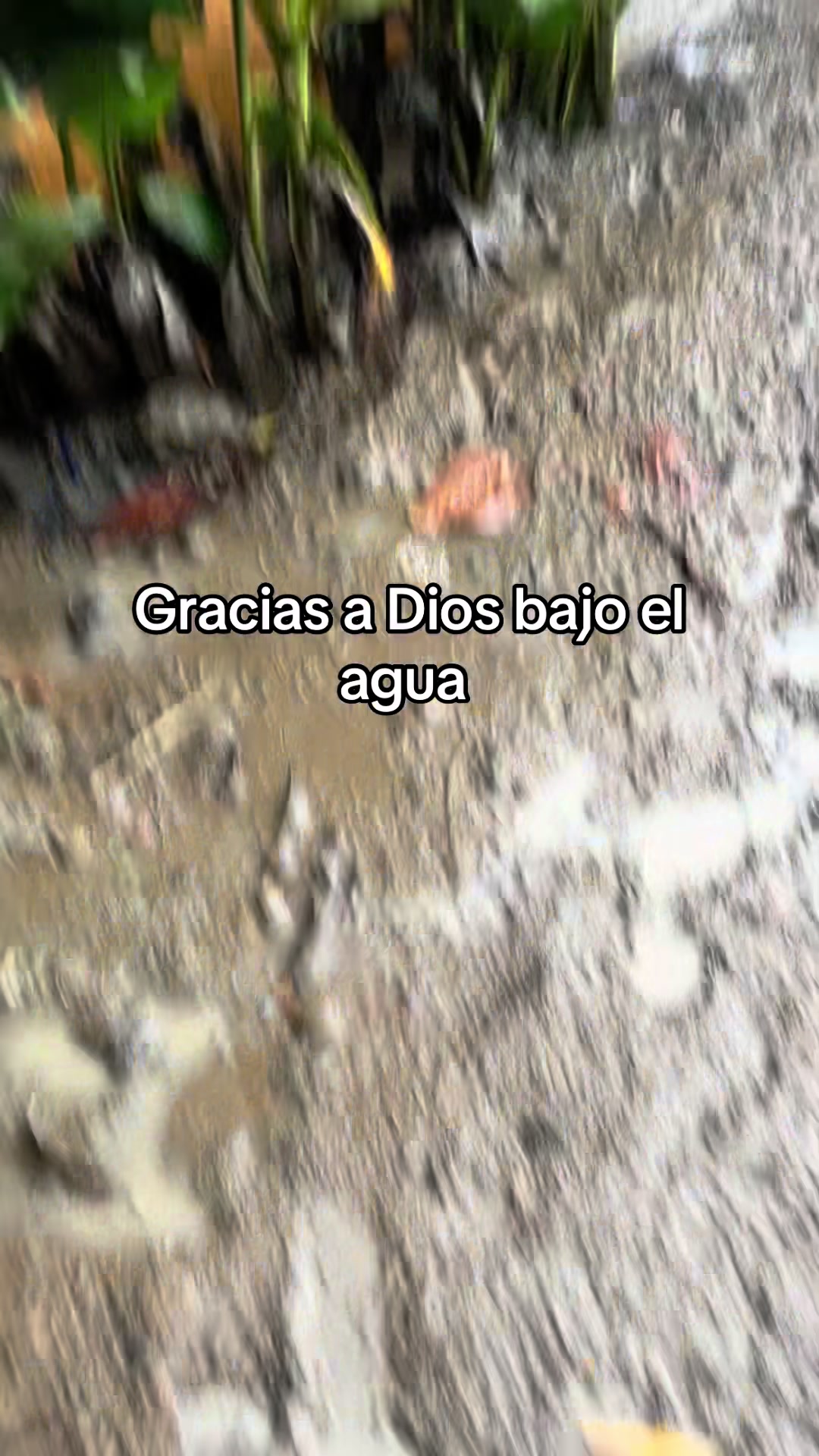 @Nallely