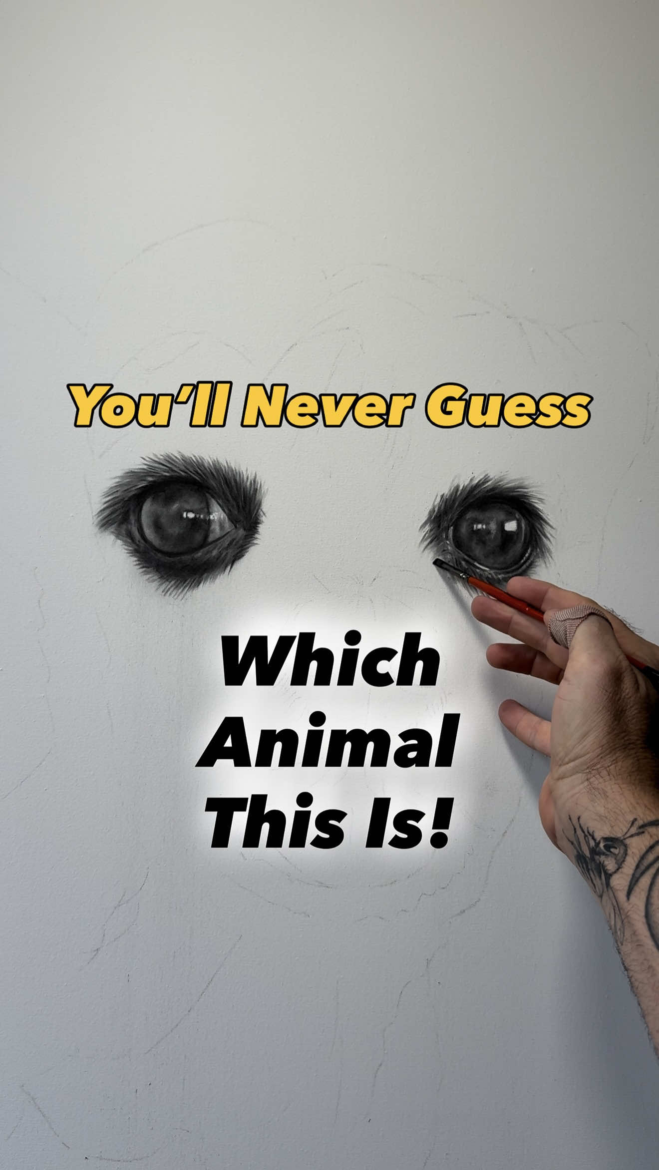 @Ashvin Harrison