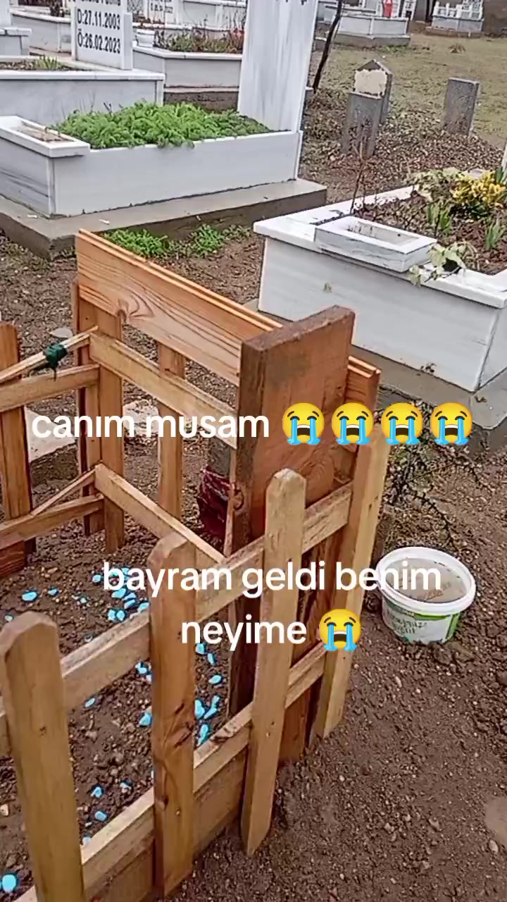 @24_10 2025 polat g&ouml;&ccedil;er
