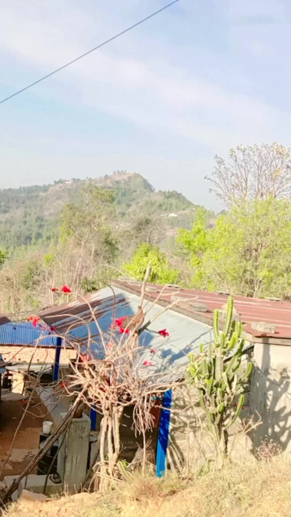 @Bishnu stha