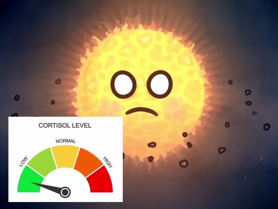 @1# SUN FAN