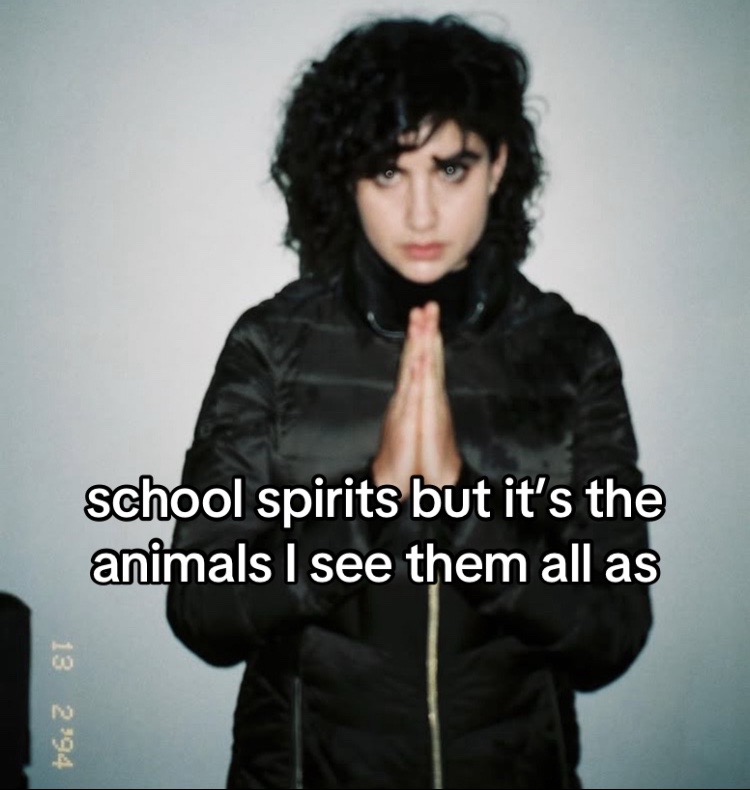 @shrimpish