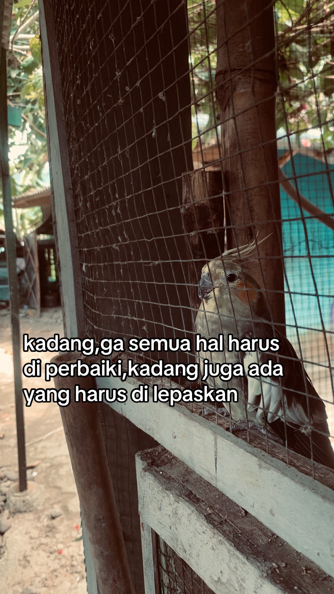 @rsyapnniiiiiii