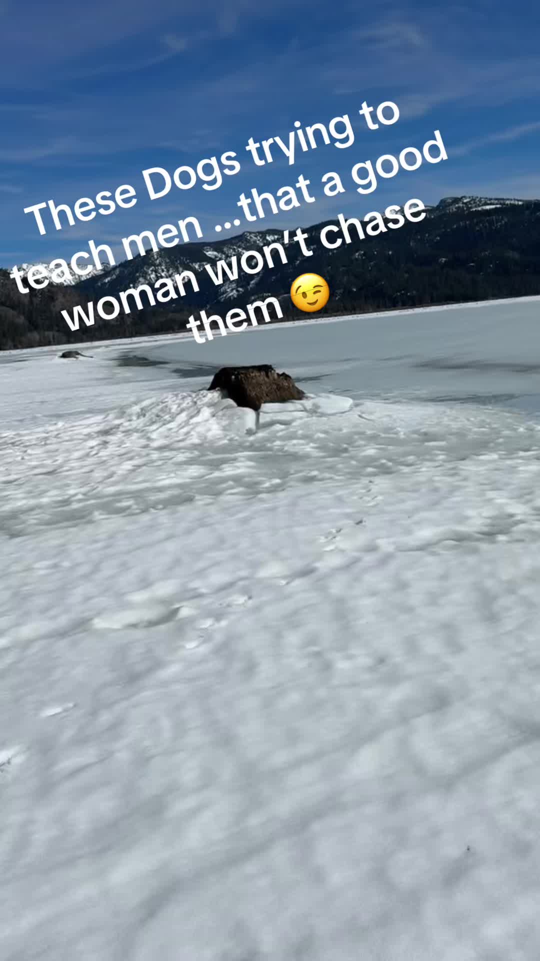 @🏔️Idaho Outdoors Brandi🌲🏔️