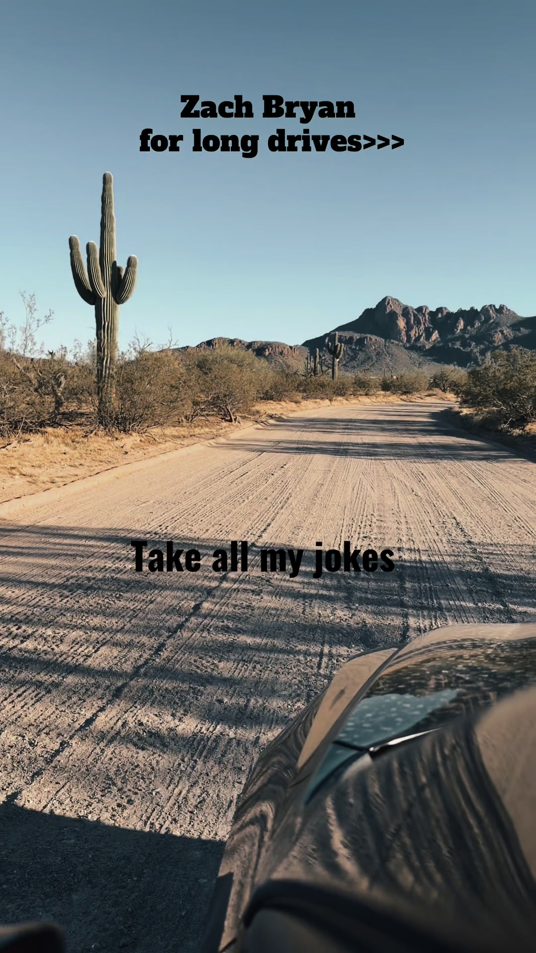 @Dani in the Desert