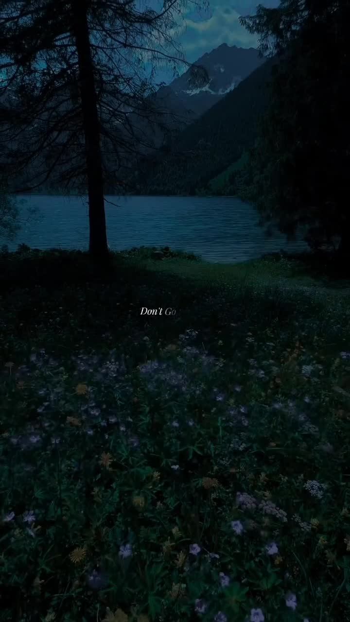 @Silent.Verse 🎶🎵