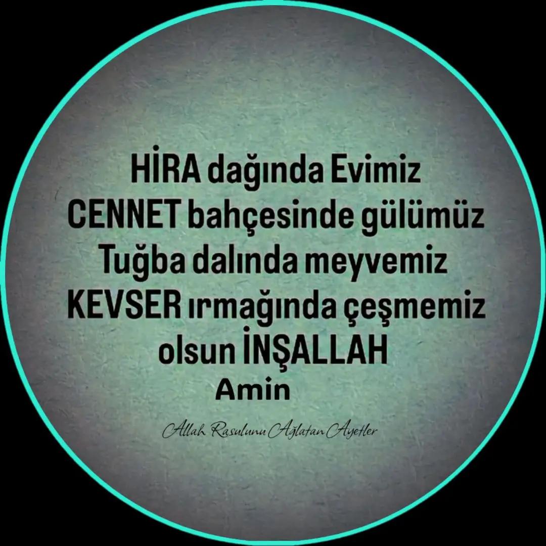 @Raziye Erim