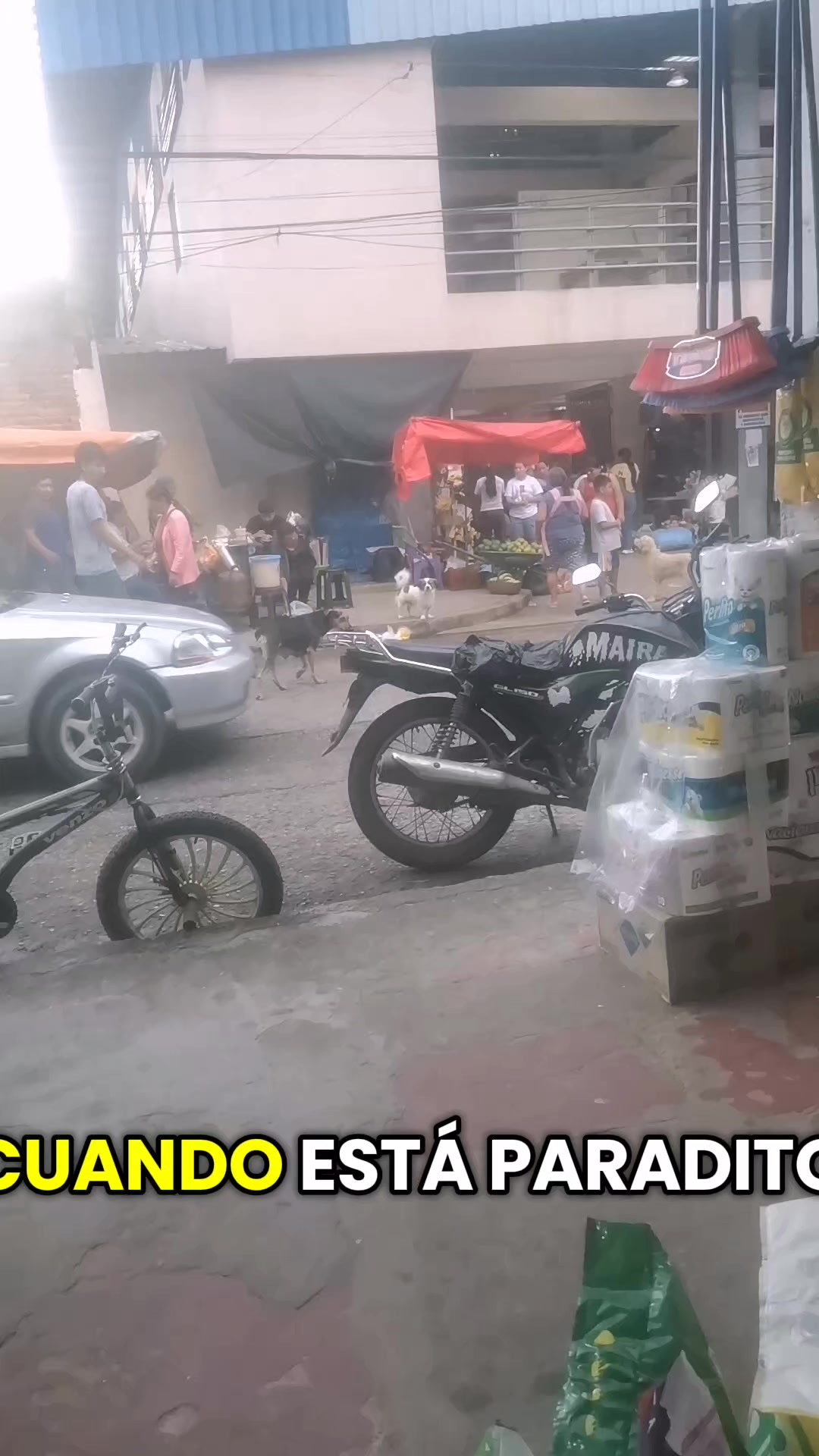 @Carlos Leonel Yampara