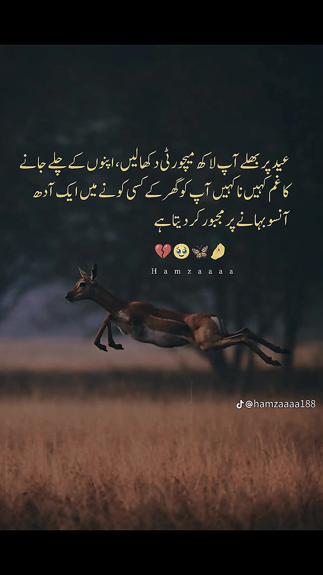 @Adeel Nice(Kaky Zai)