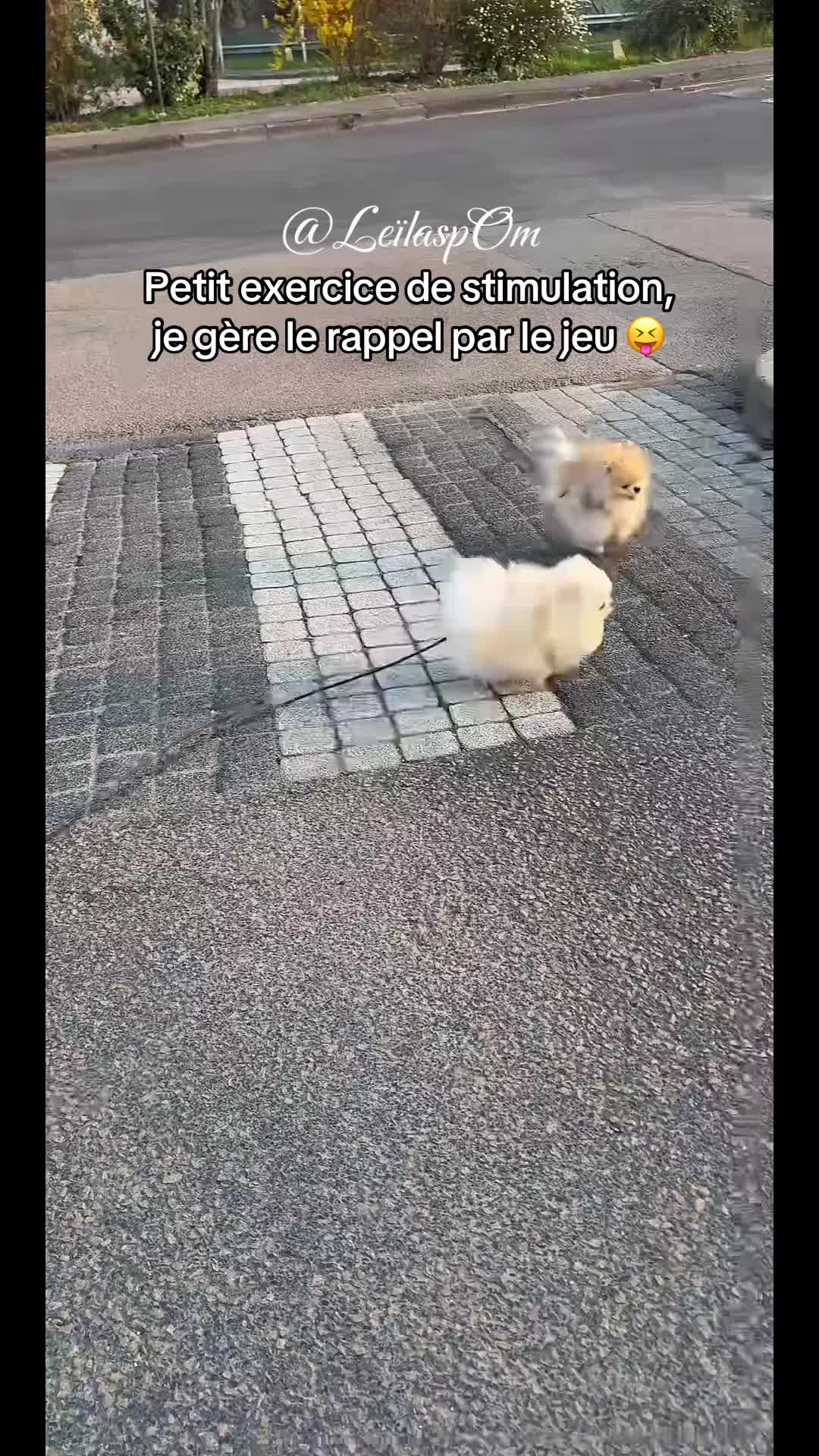 @🎀Le&iuml;la&rsquo;spOm🎀